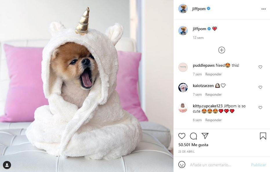 Cuenta de Jiffpom en Instagram.