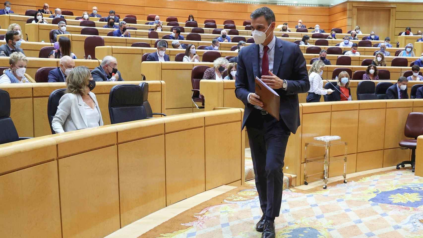 Pedro Snchez en el Senado. / EFE