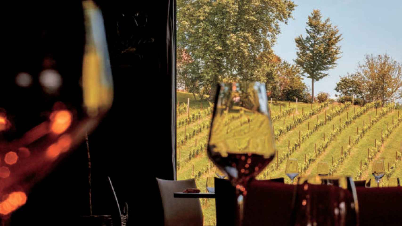 Vistas de viedos desde una bodega de Rioja Alavesa. / Gobierno vasco