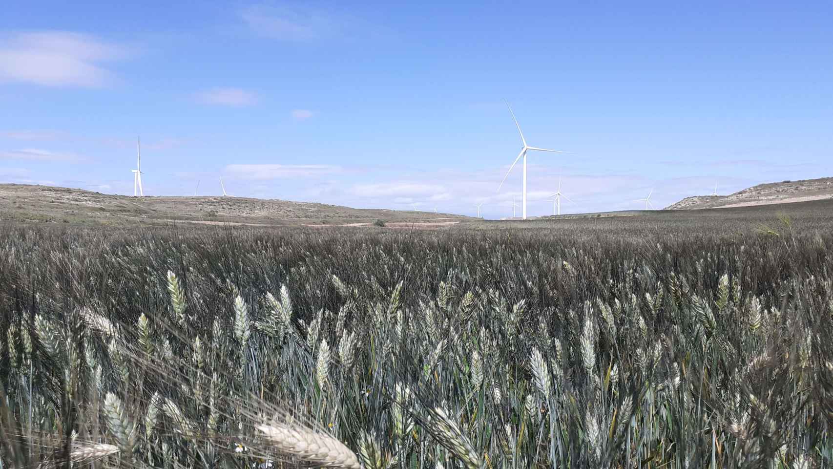 Uno de los parques elicos desarrollados por GES en Aragn. / CV