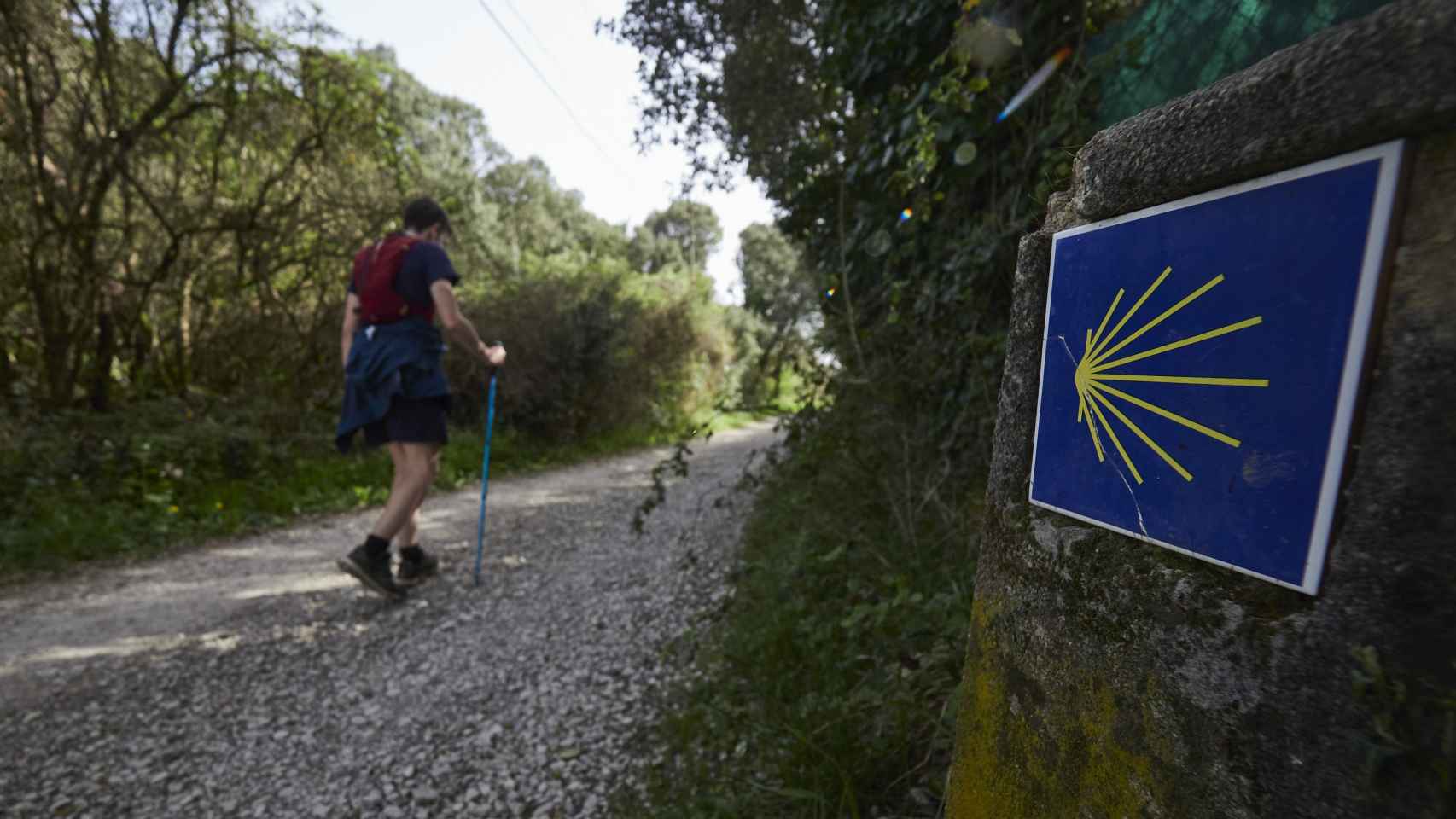 Antes de llenar el camino de peregrinos, llenemos de Camino a cada peregrino/ EP