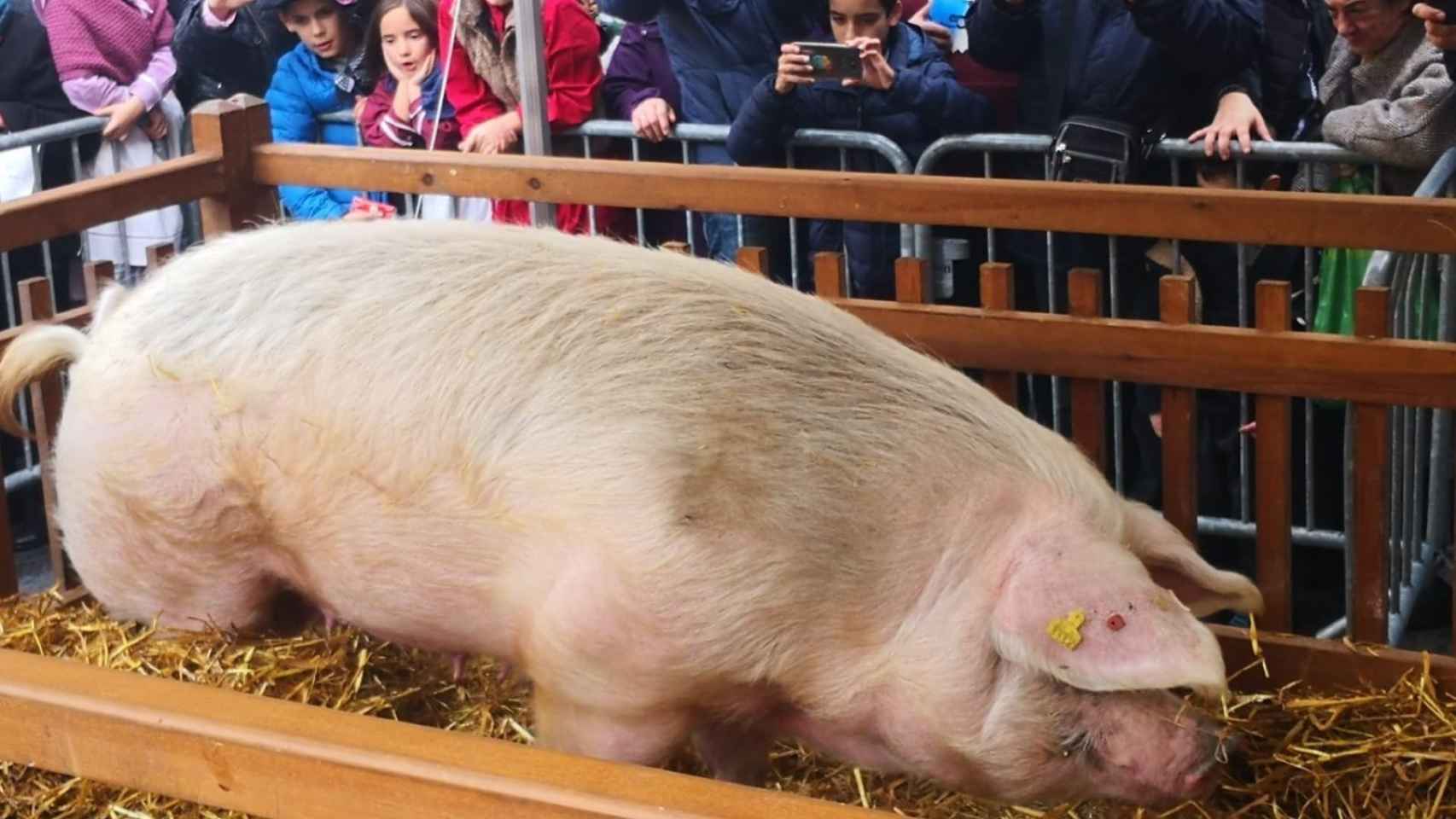 Suspendido Santo Toms en Donostia por la pandemia. / EUROPA PRESS