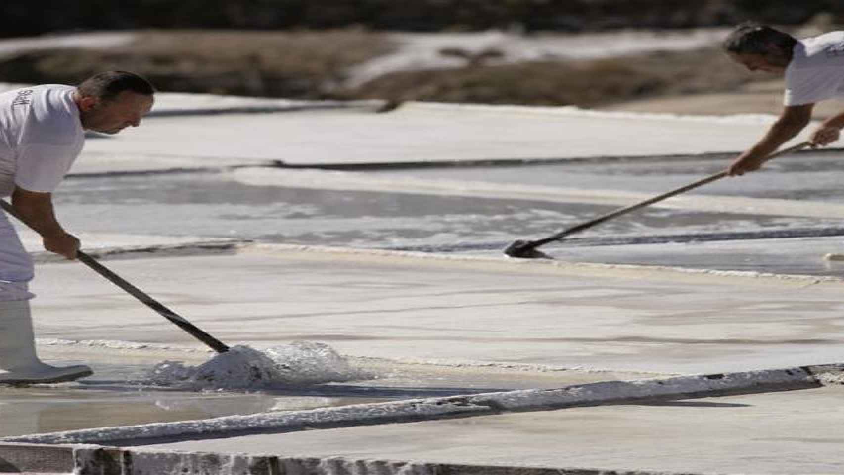 Trabajos en el valle de Salinas de Aana /SALINAS DE AANA OFICIAL