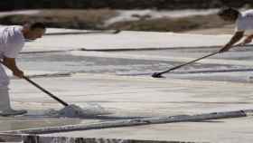 Trabajos en el valle de Salinas de Aana /SALINAS DE AANA OFICIAL