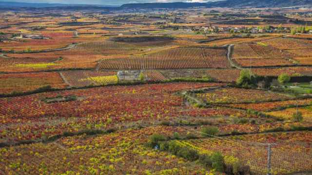 Rioja Alavesa / GETTY IMAGES
