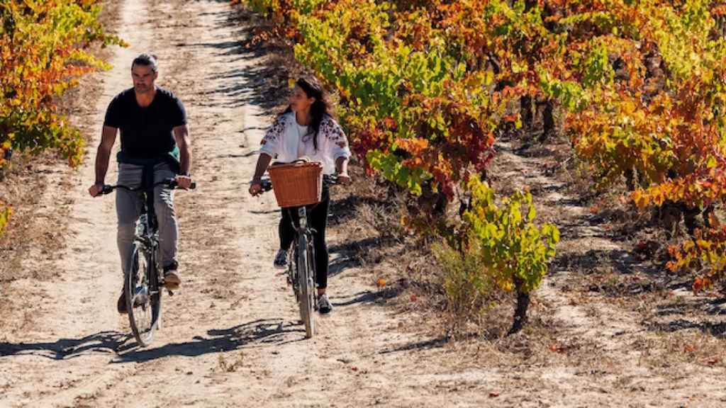 Una pareja recorriendo en bici un viñedo / Euskadi Gastronomika