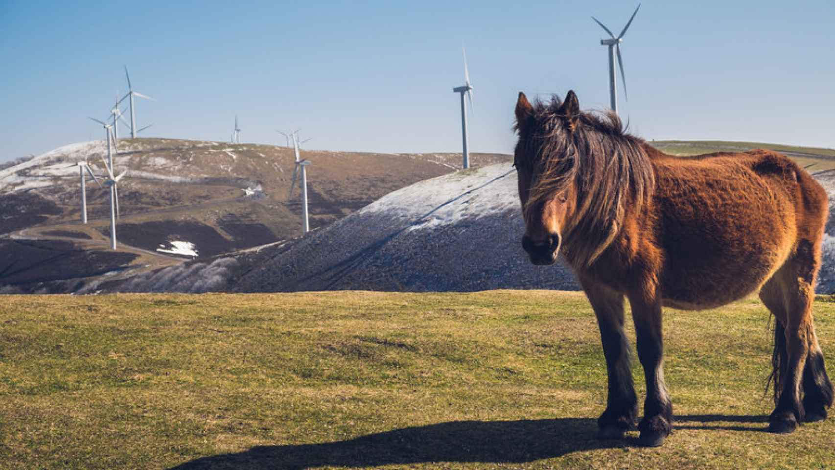 Un parque eólico en Euskadi / Irekia