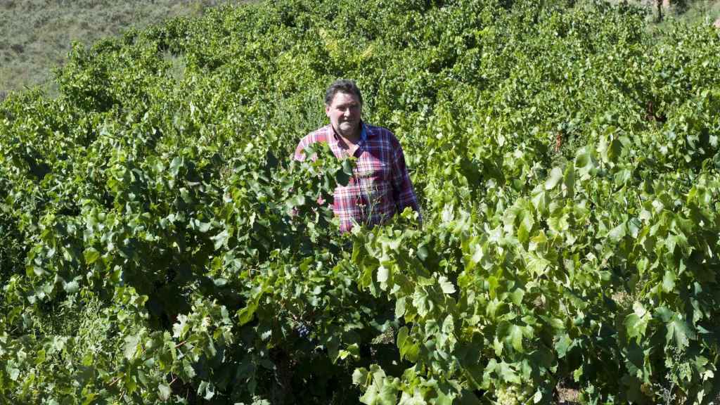 Juan Carlos Sancha, de Bodegas Familiares de Rioja.