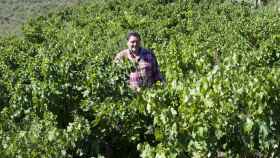 Juan Carlos Sancha, de Bodegas Familiares de Rioja.