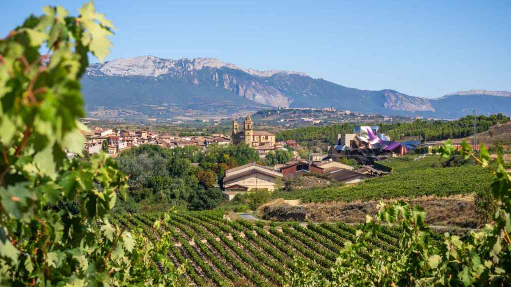 Bodega Marqués de Riscal / GETTY IMAGES