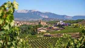 Bodega Marqués de Riscal / GETTY IMAGES