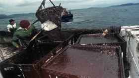 Un barco pesquero de cerco utiliza sus redes para tratar de sacar la mayor cantidad de combustible del mar durante la crisis del Prestige / Álvaro Ballesteros