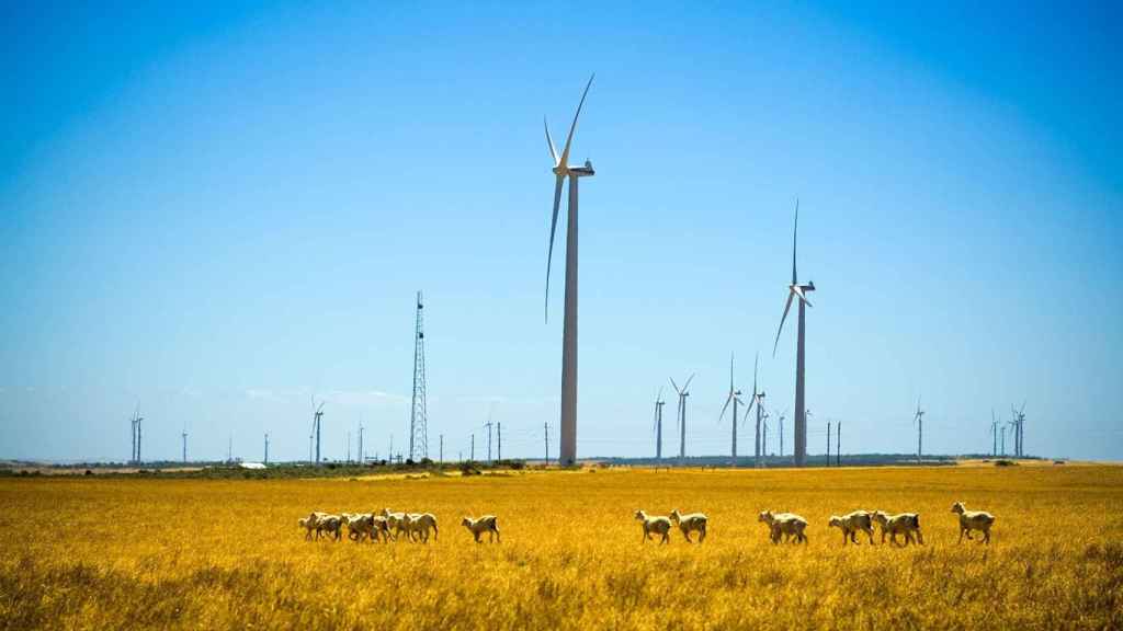 Parque eólico Walkaway de Iberdrola en Australia.