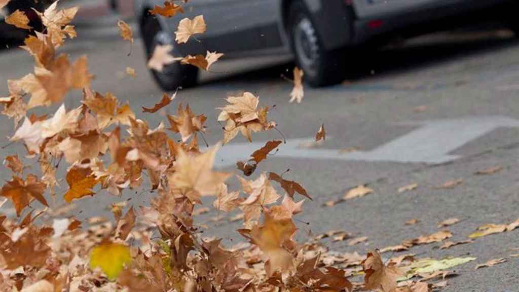 Fuertes rachas de viento en Euskadi.