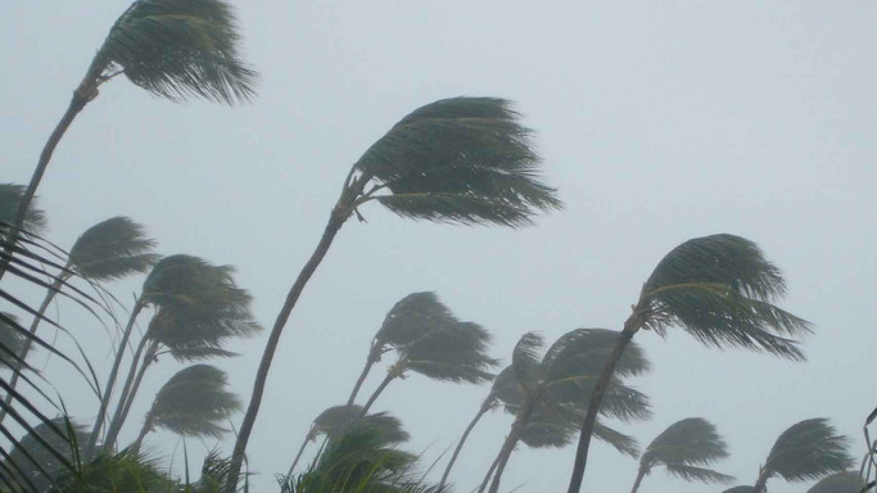 Euskadi ha alcanzado, hasta ahora, rachas de viento de hasta 160 kilómetros por hora.