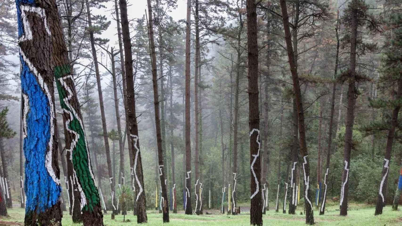 Los árboles del Bosque de Oma con las obras de arte de Agustín Ibarrola