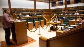 El Parlamento vasco durante el debate para la aprobación de la Ley de Cambio Climático y Transición Energética / Legebiltzarra