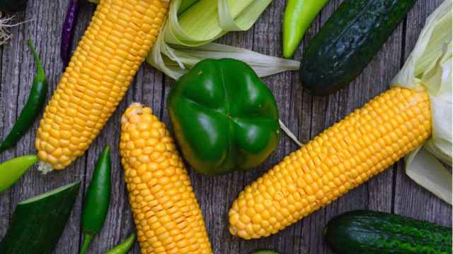 Mazorcas de maíz junto a verduras sobre una mesa