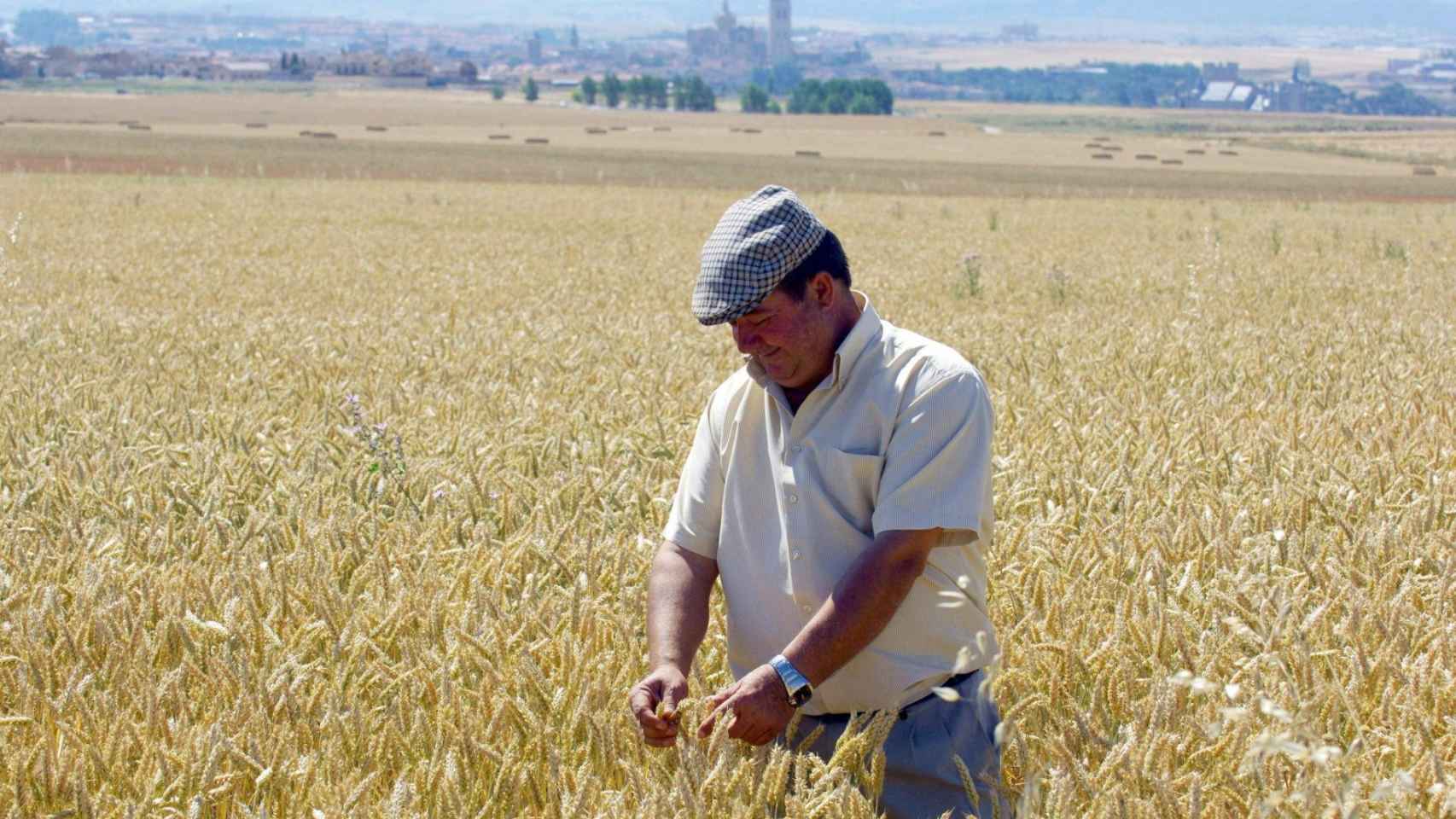 La agricultura alavesa envejece: solo un 5,35% de sus profesionales tiene menos de 35 años