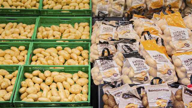 Mercadona comercializará 1.600 toneladas de patatas de Álava, un 33% más que el año pasado