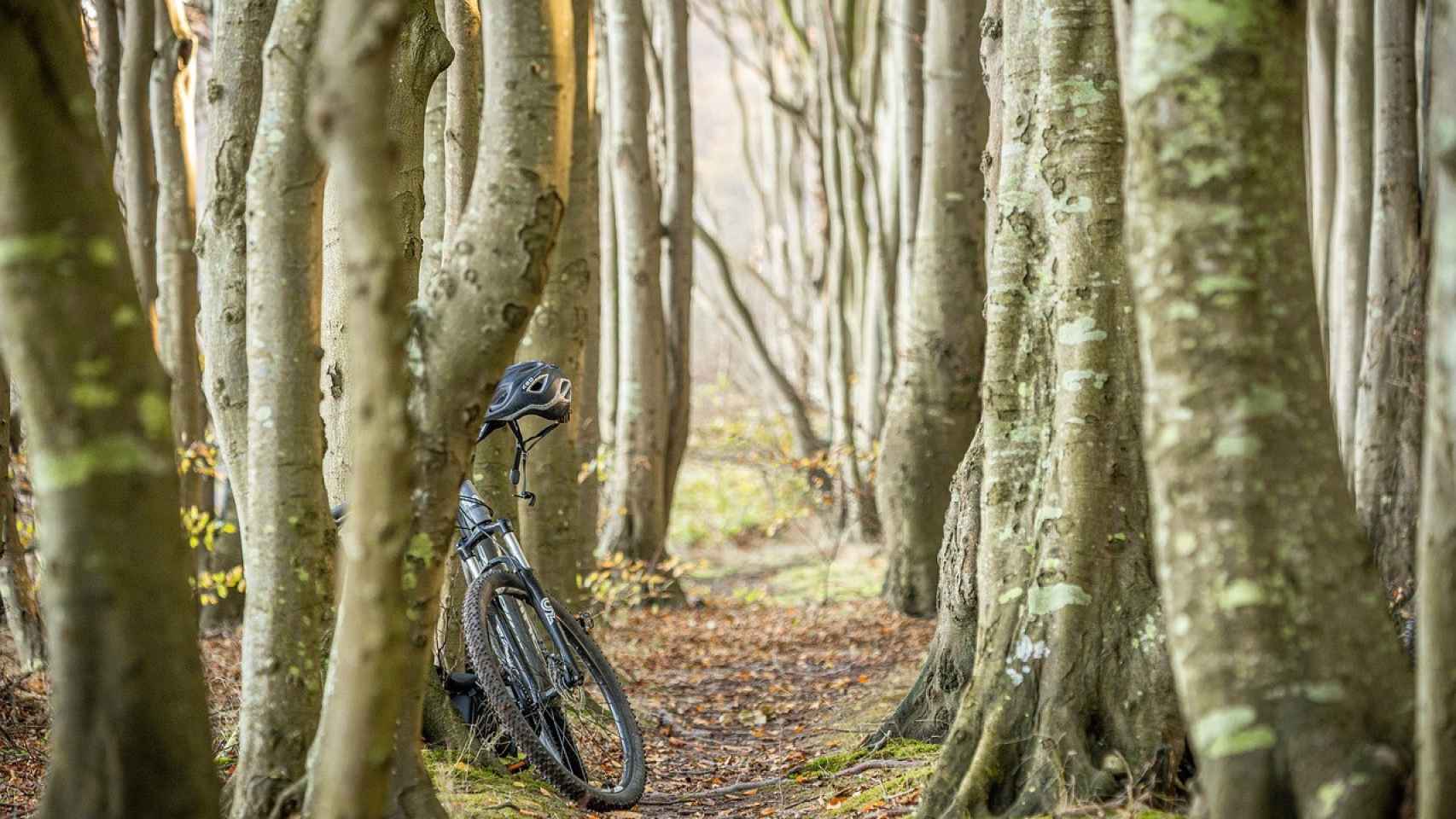 Bicicleta en el Camino