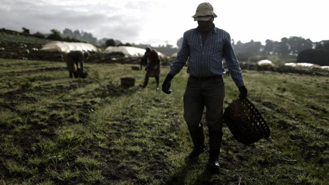¿Agricultores que limpian carbono? Una propuesta para las empresas más contaminantes