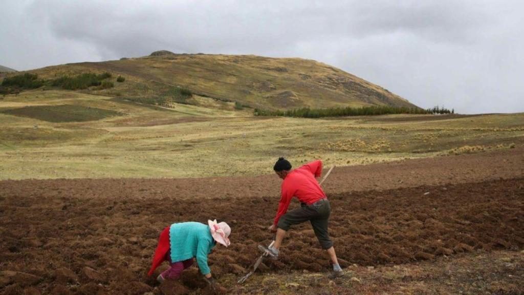 Agricultor