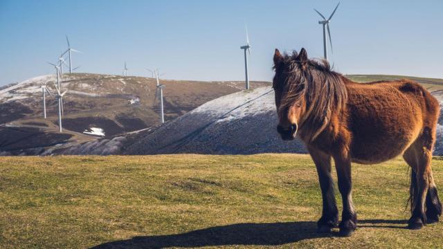 Aixeindar obtiene la autorización administrativa de construcción del parque eólico de Labraza