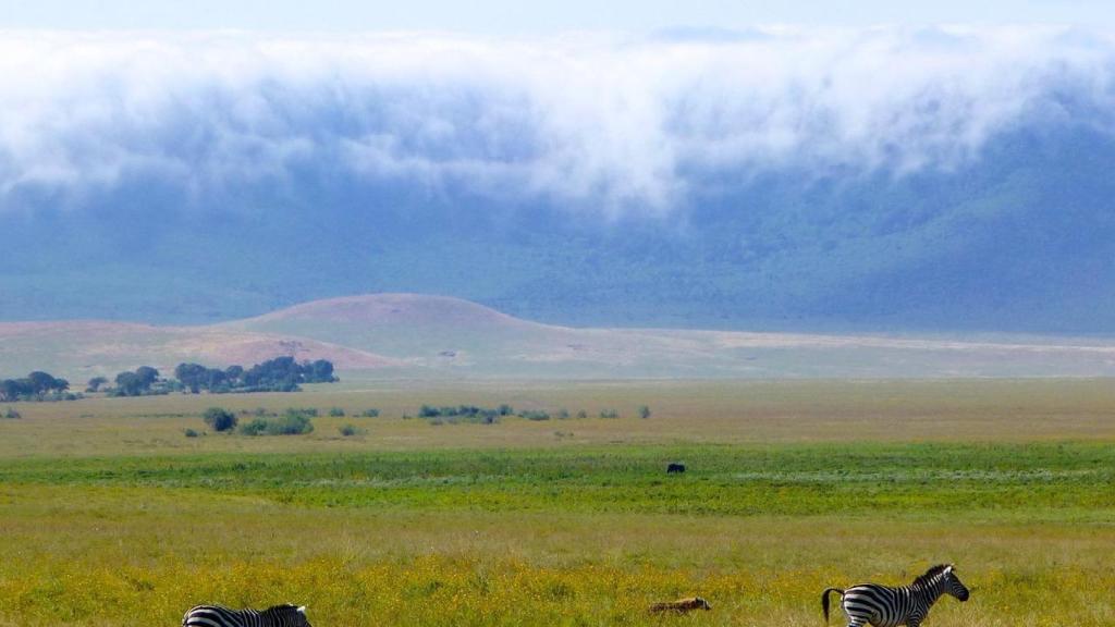 Cráter Ngorongoro / PIXABAY