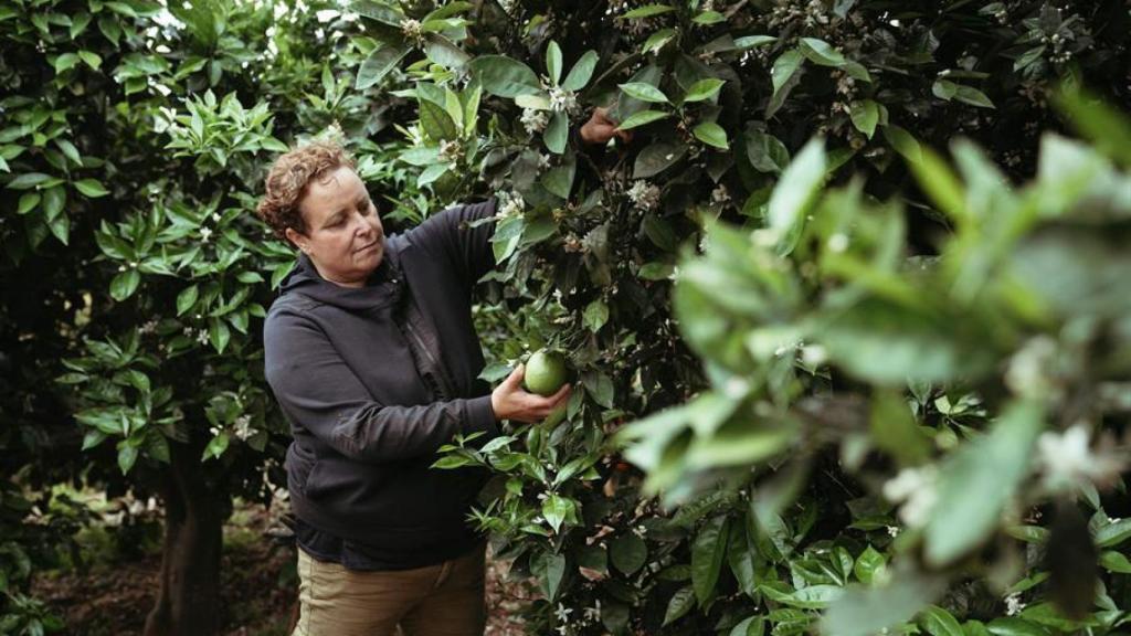 El Gobierno vasco destina 1,2 millones a la creación de cooperativas agroalimentarias