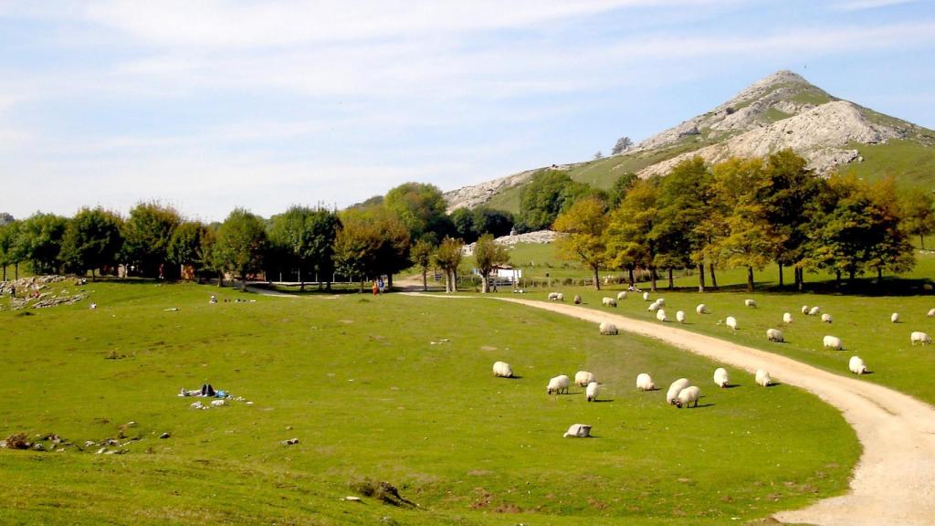 Parque Natural de Aizkorri-Aratz / Turismo Euskadi