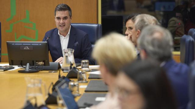 Mikel Jauregi  este miércoles al comienzo de la Comisión de Industria, Transición Energética y Sostenibilidad del Parlamento Vasco | EFE