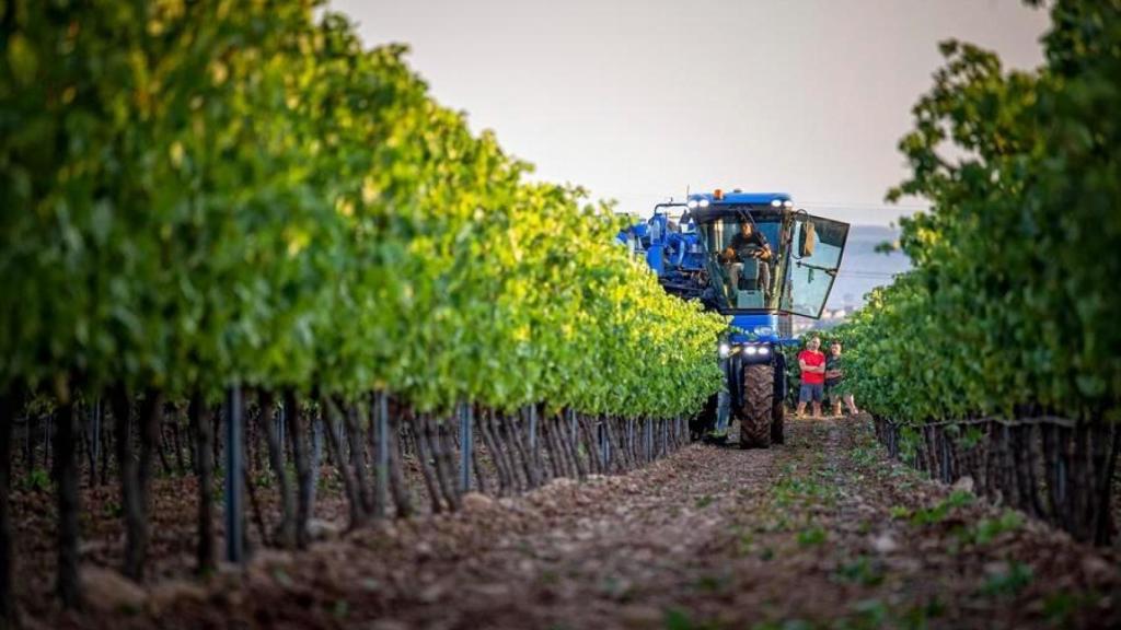 El vino de Rioja Alavesa es muy apreciado en Estados Unidos.