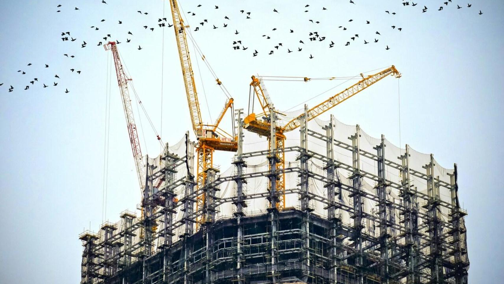 Grúas de una construcción rodeada de pájaros