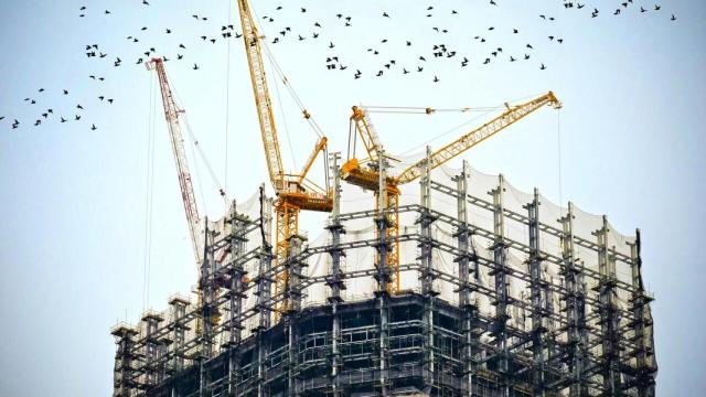 Grúas de una construcción rodeada de pájaros