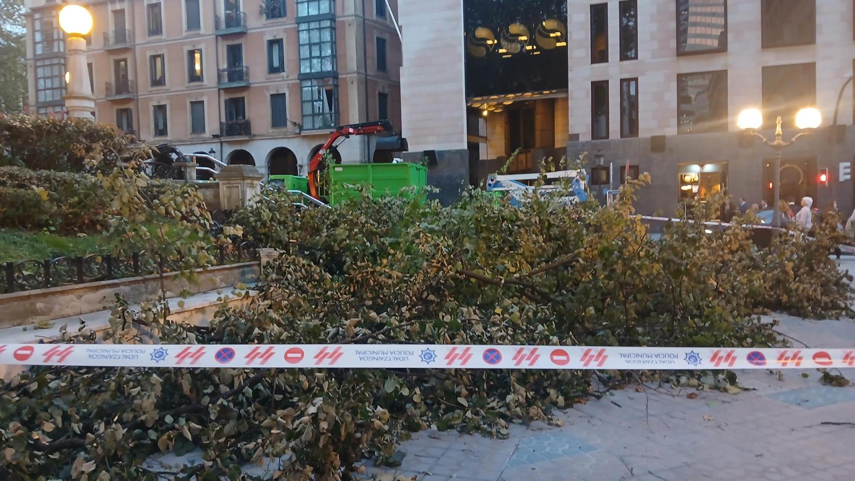 Ramas caídas en Bilbao / EP