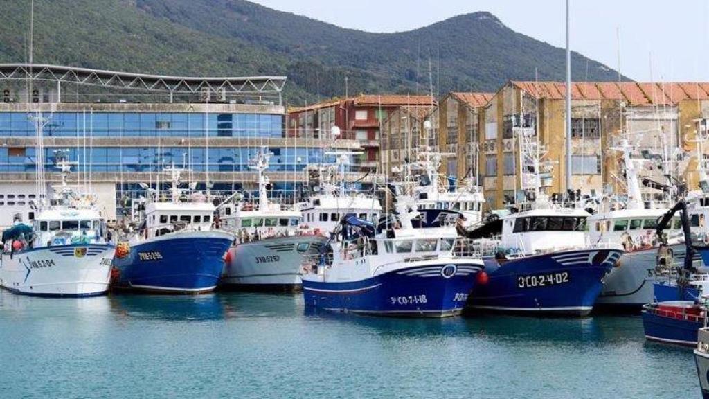 Barcos amarrados en el puerto / Europa Press