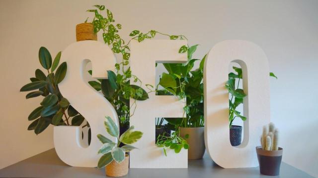 Siglas de SEO entre plantas