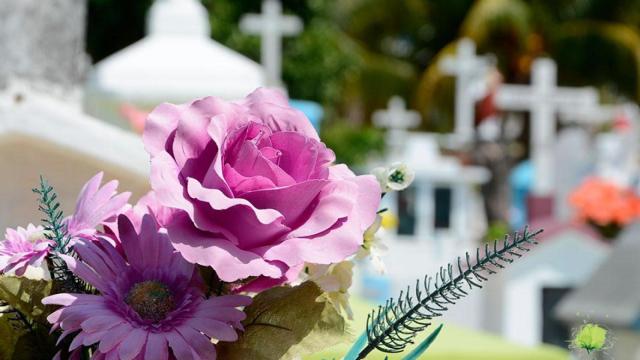 Flores en un cementerio.