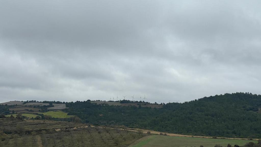 Imagen de los aerogeneradores del parque navarro de Las Llanas desde Labraza