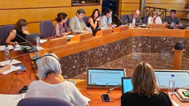 El diputado foral de Bizkaia de Administración Pública, Ager Izagirre, comparece en Juntas Generales / EP