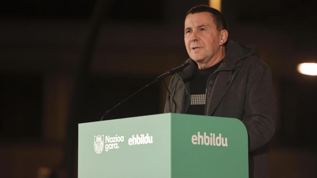 El coordinador general de Bildu, Arnaldo Otegi / LUIS TEJIDO - EFE