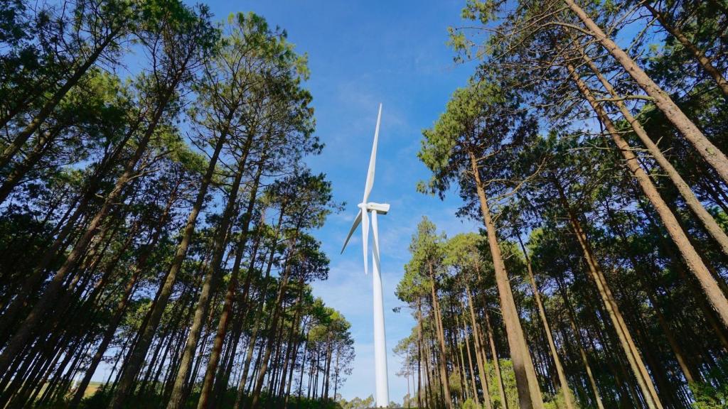 Parque eólico de Iberdrola.