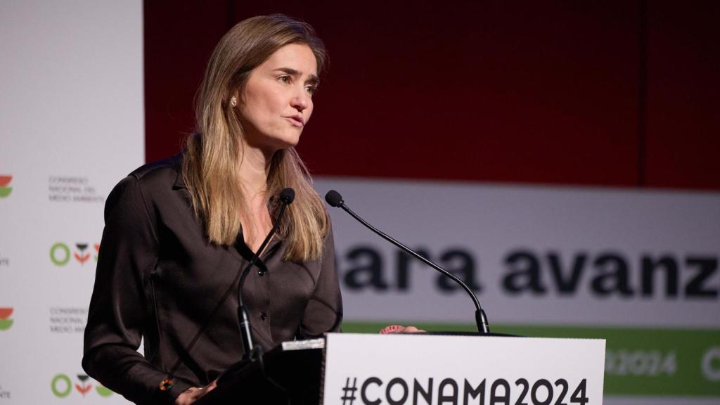 Sara Aagesen, vicepresidenta tercera y ministra para la Transición Ecológica y el Reto Demográfico,  en la 17ª edición de CONAMA a 2 de diciembre de 2024