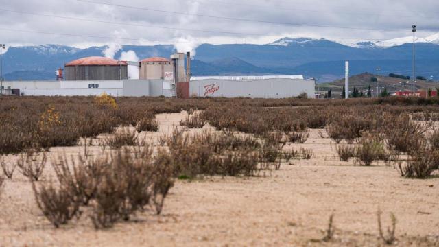 Polígono industrial de Álava Arasur, con Talgo al fondo / Luis Miguel Añón