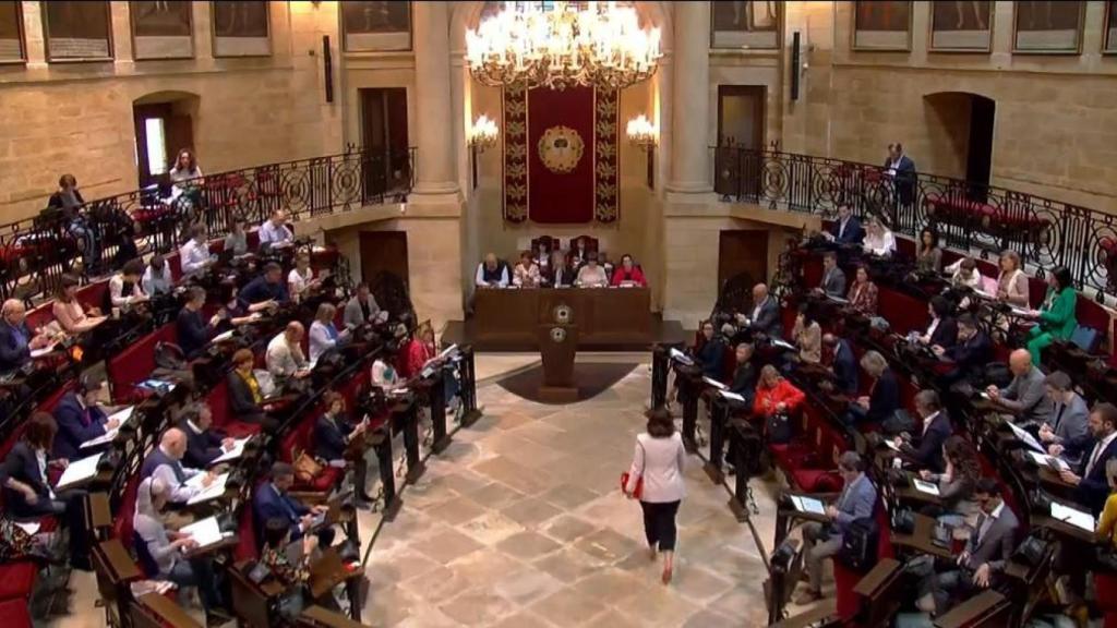 Pleno en juntas de Bizkaia / EP