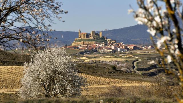 San Vicente de la Sonsierra / GETTY IMAGES