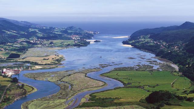 Reserva de Urdaibai/Guggenheim