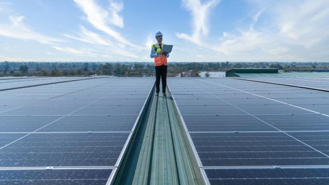 Placas fotovoltaicas. / GETTY IMAGES