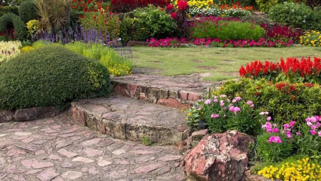 Flores en un jardín